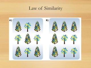 Law of Similarity
 