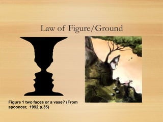 Law of Figure/Ground
Figure 1 two faces or a vase? (From
spooncer, 1992 p.35)
 