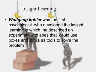 Insight Learning
• Wolfgang kohler was the first
psychologist who developed the insight
learning in which he described an
experiment with apes that could use
boxes and sticks as tools to solve the
problem
 