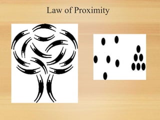 Law of Proximity
 