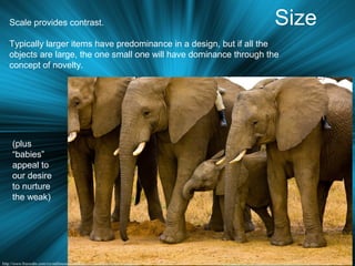 SizeScale provides contrast.
Typically larger items have predominance in a design, but if all the
objects are large, the one small one will have dominance through the
concept of novelty.
(plus
“babies”
appeal to
our desire
to nurture
the weak)
 