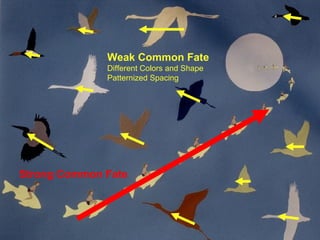 Common Fate
Strong Common Fate
Weak Common Fate
Different Colors and Shape
Patternized Spacing
 