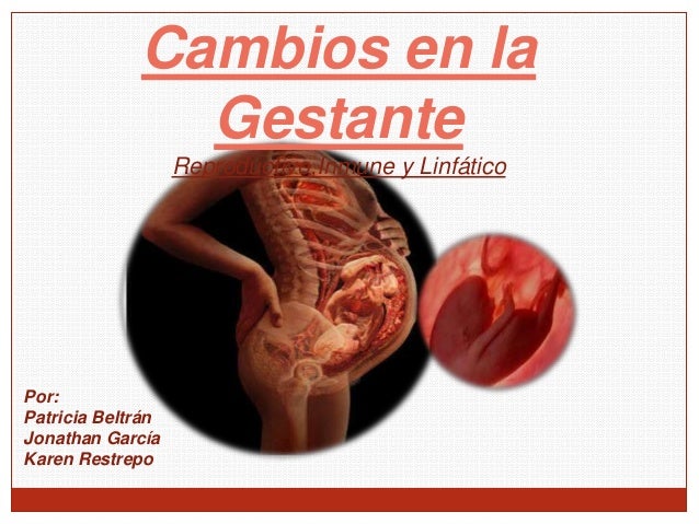 Gestante, Cambios en sistema Reproductivo, Inmune y Linfatico