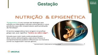 Gestação
 
