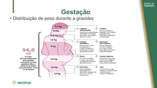 Gestação
• Distribuição de peso durante a gravidez
 