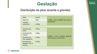 Gestação
Distribuição de peso durante a gravidez
 