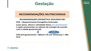 Gestação
 