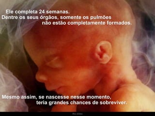 Ria slides Ele completa 24 semanas.  Dentre os seus órgãos, somente os pulmões  não estão completamente formados. Mesmo assim, se nascesse nesse momento,  teria grandes chances de sobreviver. 