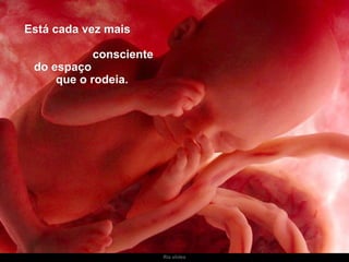 Ria slides Está cada vez mais  consciente do espaço  que o rodeia. 