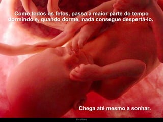 Ria slides Como todos os fetos, passa a maior parte do tempo dormindo e, quando dorme, nada consegue despertá-lo.  Chega até mesmo a sonhar. 