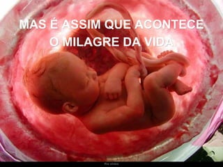 Ria slides MAS É ASSIM QUE ACONTECE O MILAGRE DA VIDA 