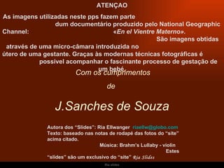 Ria slides     Com os cumprimentos  de  J.Sanches de Souza ATENÇAO As imagens utilizadas neste pps fazem parte  dum documentário produzido pelo National Geographic Channel:  « En el Vientre Materno».  São imagens obtidas através de uma micro-câmara introduzida no  útero de uma gestante. Graças às modernas técnicas fotográficas é  possível acompanhar o fascinante processo de gestação de um bebé. Autora dos “Slides”: Ria Ellwanger  [email_address]   Texto: baseado nas notas de rodapé das fotos do “site” acima citado.  Música: Brahm’s Lullaby - violin  Estes “slides” são um exclusivo do “site”  Ria Slides 