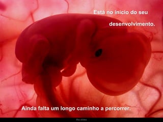 Ria slides Está no início do seu  desenvolvimento.  Ainda falta um longo caminho a percorrer.  