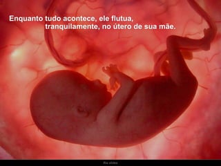 Ria slides Enquanto tudo acontece, ele flutua,  tranquilamente, no útero de sua mãe. 