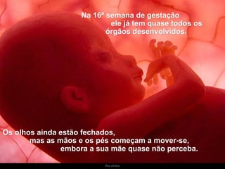 Ria slides Na 16ª semana de gestação  ele já tem quase todos os órgãos desenvolvidos. Os olhos ainda estão fechados,  mas as mãos e os pés começam a mover-se,  embora a sua mãe quase não perceba. 