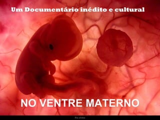 Ria slides Um feto de poucas semanas encontra-se  no interior do útero de sua mãe. NO VENTRE MATERNO Um Documentário inédito e cultural 