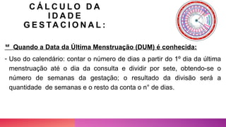 C Á L C U L O D A
I D A D E
G E S TA C I O N A L :
 Quando a Data da Última Menstruação (DUM) é conhecida:
- Uso do calendário: contar o número de dias a partir do 1º dia da última
menstruação até o dia da consulta e dividir por sete, obtendo-se o
número de semanas da gestação; o resultado da divisão será a
quantidade de semanas e o resto da conta o n° de dias.
 