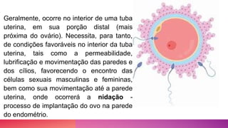 Geralmente, ocorre no interior de uma tuba
uterina, em sua porção distal (mais
próxima do ovário). Necessita, para tanto,
de condições favoráveis no interior da tuba
uterina, tais como a permeabilidade,
lubrificação e movimentação das paredes e
dos cílios, favorecendo o encontro das
células sexuais masculinas e femininas,
bem como sua movimentação até a parede
uterina, onde ocorrerá a nidação -
processo de implantação do ovo na parede
do endométrio.
 