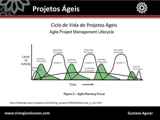 Gustavo Aguiarwww.sinergiasolucoes.com
Projetos Ágeis
Ciclo de Vida de Projetos Ágeis
http://leadinganswers.typepad.com/leading_answers/2006/09/planning_is_too.html
 