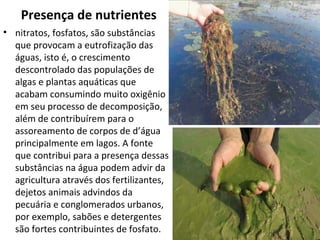 Presença de nutrientes 
• nitratos, fosfatos, são substâncias 
que provocam a eutrofização das 
águas, isto é, o crescimento 
descontrolado das populações de 
algas e plantas aquáticas que 
acabam consumindo muito oxigênio 
em seu processo de decomposição, 
além de contribuírem para o 
assoreamento de corpos de d’água 
principalmente em lagos. A fonte 
que contribui para a presença dessas 
substâncias na água podem advir da 
agricultura através dos fertilizantes, 
dejetos animais advindos da 
pecuária e conglomerados urbanos, 
por exemplo, sabões e detergentes 
são fortes contribuintes de fosfato. 
 