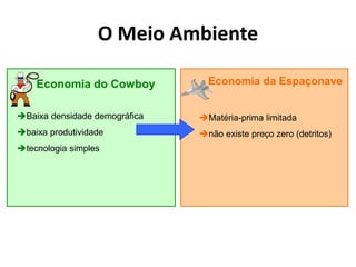 O Meio Ambiente
Economia do Cowboy
Baixa densidade demográfica
baixa produtividade
tecnologia simples
Economia da Espaçonave
Matéria-prima limitada
não existe preço zero (detritos)
 