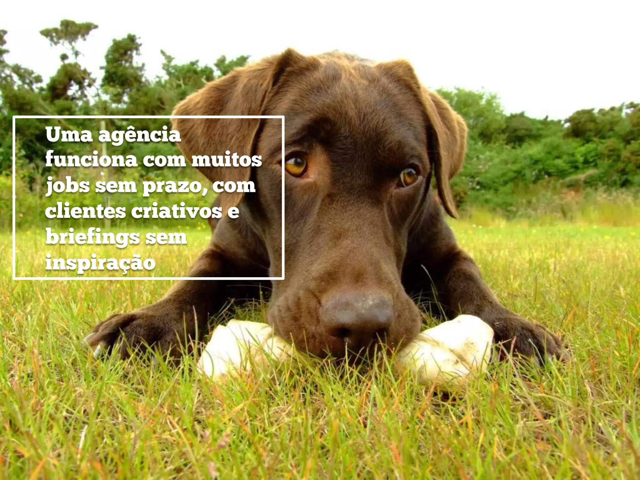 Uma agência
funciona com muitos
jobs sem prazo, com
clientes criativos e
briefings sem
inspiração
 