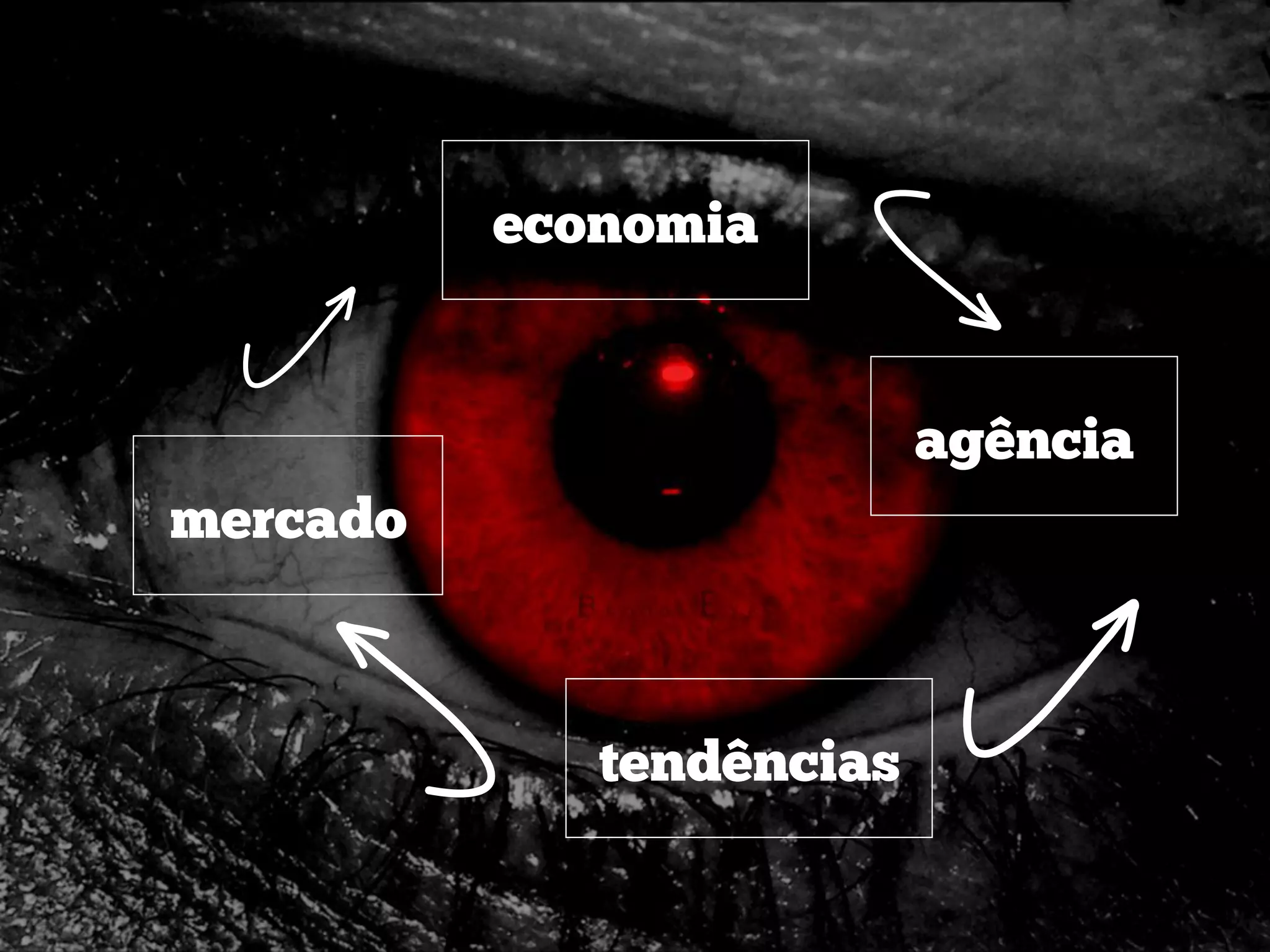 mercado
agência
economia
tendências



 