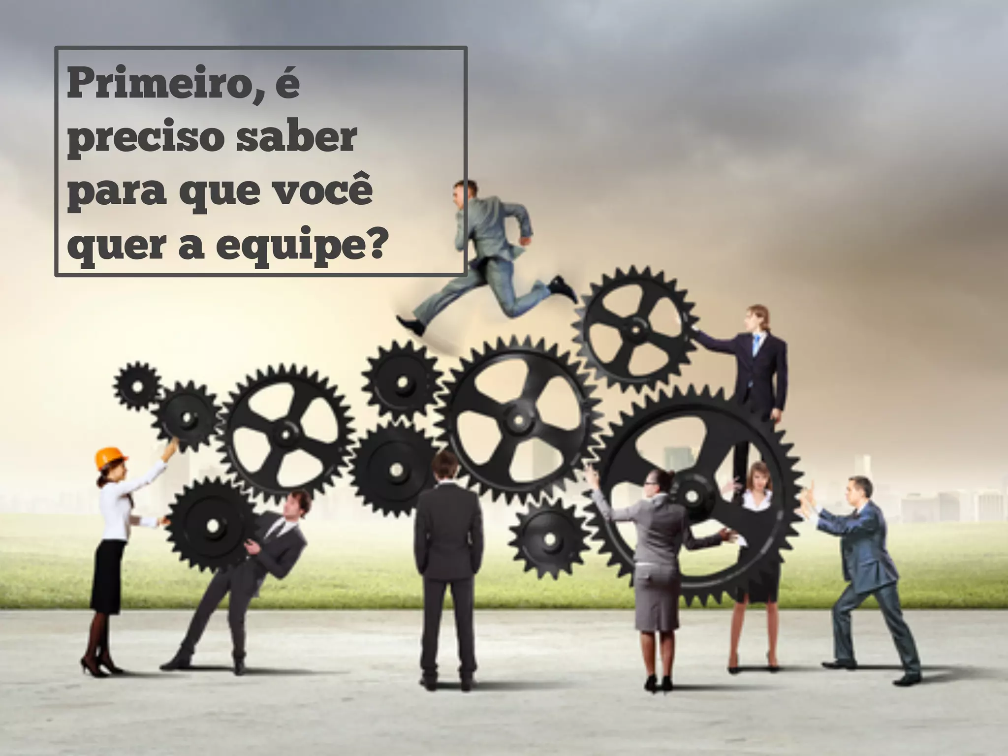 Primeiro, é
preciso saber
para que você
quer a equipe?
 