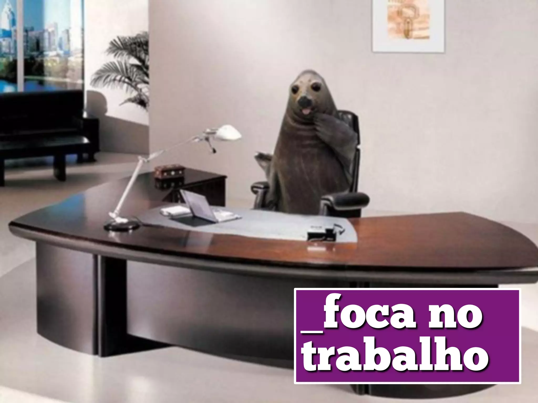 _foca no
trabalho
 