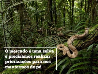 O mercado é uma selva
e precisamos realizar
priorizações para nos
mantermos de pé
 