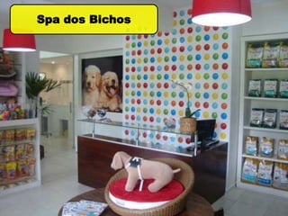 Spa dos Bichos
 