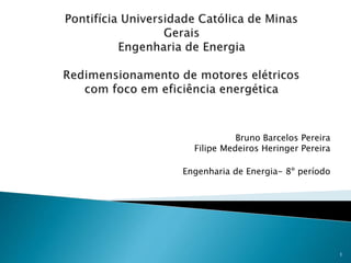 Bruno Barcelos Pereira
Filipe Medeiros Heringer Pereira
Engenharia de Energia- 8º período
1
 