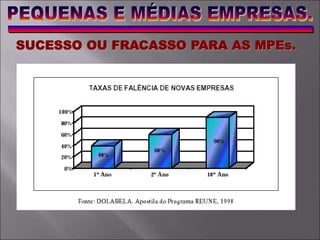 SUCESSO OU FRACASSO PARA AS MPEs.
 