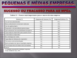 SUCESSO OU FRACASSO PARA AS MPEs.
 