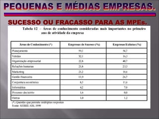 SUCESSO OU FRACASSO PARA AS MPEs.
 