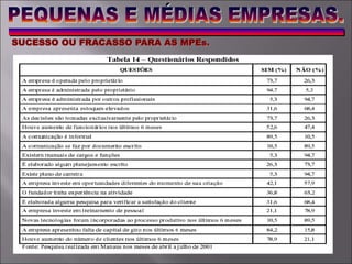 SUCESSO OU FRACASSO PARA AS MPEs.
 