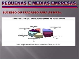 SUCESSO OU FRACASSO PARA AS MPEs.
 