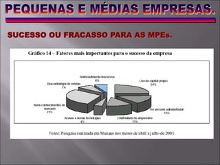 SUCESSO OU FRACASSO PARA AS MPEs.
 
