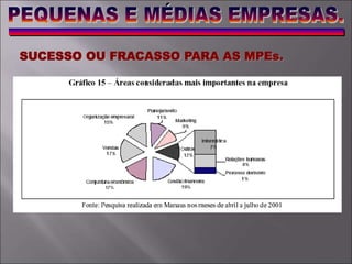 SUCESSO OU FRACASSO PARA AS MPEs.
 