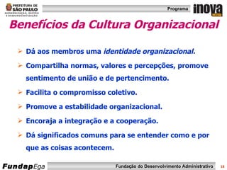 Benefícios da Cultura Organizacional Dá aos membros uma  identidade organizacional. Compartilha normas, valores e percepções, promove sentimento de união e de pertencimento. Facilita o compromisso coletivo. Promove a estabilidade organizacional. Encoraja a integração e a cooperação. Dá significados comuns para se entender como e por que as coisas acontecem. 