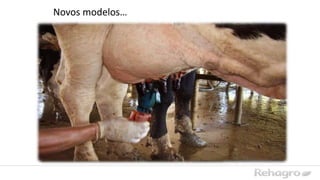 Novos modelos…
 