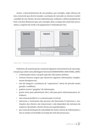 capítulo 2 • 37
Assim, o desenvolvimento de um produto, por exemplo, exige esforços da
área comercial que deverá estudar a aceitação de mercado ou mesmo receber
o pedido de um cliente; da área industrial que realizará a efetiva produção do
bem e da área financeira que, por exemplo, fará a compra dos materiais neces-
sários, o registro da venda e do pagamento é realizado por isto.
Comercial Industrial Financeiro
Desenvolver um produto
Figura 2.4 – Desenvolvimento de um produto.
Podemos, de maneira geral, enumerar algumas características de uma orga-
nização que adote uma abordagem funcional (MARANHÃO e MACIEIRA, 2004):
•  a informação entra e sai pelo topo dos silos (pelas chefias);
•  existem buracos negros que absorvem algumas informações; simples-
mente desaparecem;
•  isto dá margem a existência de “supernovas” (áreas de pressão muito
grande e conflitos);
•  podem ocorrer “gargalos” de informação;
•  gestor serve para administrar silo e não para gerir relacionamentos, in-
terfaces;
•  não existem feedbacks e a comunicação é vertical;
•  interesses e motivações das pessoas são funcionais X interesses e mo-
tivações dos clientes são transversais e não dependem da estrutura da
empresa. Resultado: clientes ficam em segundo plano;
•  por conta da limitação de autoridade há muito vaivém de informações e
isto se traduz em lentidão no tempo de ciclo dos processos;
 