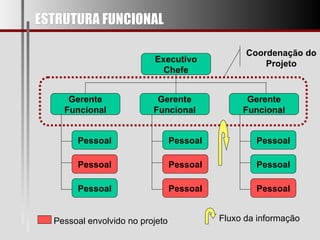 ESTRUTURA FUNCIONAL Executivo Chefe Gerente Funcional Gerente Funcional Gerente Funcional Pessoal Pessoal Pessoal Pessoal Pessoal Pessoal Pessoal Pessoal Pessoal Coordenação do Projeto Pessoal envolvido no projeto Fluxo da informação 