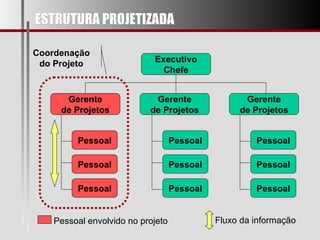 ESTRUTURA PROJETIZADA Executivo Chefe Gerente de Projetos Gerente de Projetos Gerente de Projetos Pessoal Pessoal Pessoal Pessoal Pessoal Pessoal Pessoal Pessoal Pessoal Coordenação do Projeto Pessoal envolvido no projeto Fluxo da informação 