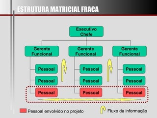 ESTRUTURA MATRICIAL FRACA Executivo Chefe Gerente Funcional Gerente Funcional Gerente Funcional Pessoal Pessoal Pessoal Pessoal Pessoal Pessoal Pessoal Pessoal Pessoal Pessoal envolvido no projeto Fluxo da informação 