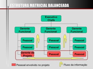ESTRUTURA MATRICIAL BALANCEADA Executivo Chefe Gerente Funcional Gerente Funcional Gerente Funcional Pessoal Pessoal Gerente do Projeto Pessoal Pessoal Pessoal Pessoal Pessoal Pessoal Pessoal envolvido no projeto Fluxo da informação 