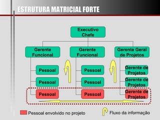 ESTRUTURA MATRICIAL FORTE Executivo Chefe Gerente Funcional Gerente Funcional Gerente Geral de Projetos Pessoal Pessoal Pessoal Pessoal Pessoal Pessoal Gerente de Projetos Gerente de Projetos Gerente de Projetos Pessoal envolvido no projeto Fluxo da informação 