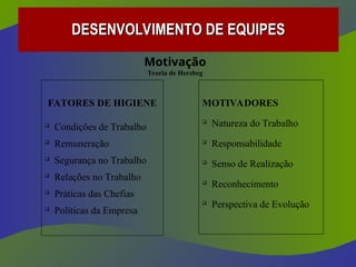 Motivação
Teoria de Herzbeg
FATORES DE HIGIENE

Condições de Trabalho

Remuneração

Segurança no Trabalho

Relações no Trabalho

Práticas das Chefias

Políticas da Empresa
MOTIVADORES

Natureza do Trabalho

Responsabilidade

Senso de Realização

Reconhecimento

Perspectiva de Evolução
DESENVOLVIMENTO DE EQUIPES
DESENVOLVIMENTO DE EQUIPES
 