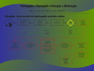 “SIST. NERVOSO
CENTRAL”
Percepção x Sensação x
Percepção x Sensação x Emoção x Motivação
Emoção x Motivação
Situação: Você acorda de madrugada ouvindo ruídos
Situação: Você acorda de madrugada ouvindo ruídos

 

CIRCUITO NEURAL DO MEDO
HIPOCAMPO
RECEBE E
COMPARA
CÓRTEX
AUDITIVO
ANALISA
É
CONHECIDO
?
ALERTA
GERAL
PARA
?
S
N
VOLTA
A
DORMIR
OK
ALERTA
GERAL
CONTINUA
LADRÃO ?
GÁS ?
EXPLOSÃO ?
ELETRICIDADE ?
“AMÍDALA”
RECEBE SINAL E
ENVIA
“”TRONCO
CEREBRAL”
“HIPOTÁLAMO”
REAÇÕES
FÍSICO QUÍMICAS
(Corticoprina)
PREVISÃO DE
PERIGO
POSSÍVEIS
MECANISMO
DE DEFESA
ACIONADO
ATAQUE
LUTA
FUGA
 