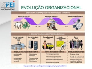 EVOLUÇÃO ORGANIZACIONAL http://www1.serpro.gov.br/publicacoes/gco_site/m_capitulo01.htm 